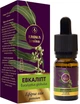Эфирное масло "Эвкалипт" - Aroma Kraina Premium 10ml (910813-41130) - изображение 1