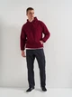 Худі утеплене на флісі чоловіче Just Hoods College AWJH001BU S Burgundy (Tr2000000013138) - изображение 2