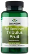 Дієтична добавка Swanson Full Spectrum Tribulus Fruit 500 мг 90 капсул (0087614111537) - зображення 1