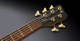Бас-гитара WARWICK Teambuilt Pro Series Thumb BO5 Ltd 2020, 5-String (Natural Transparent Satin) - изображение 5