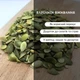 Семечки тыквы (ядро) сушеные очищенные 300 г Clear (P-R-300) - изображение 2