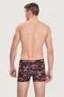 Трусы боксеры John Frank 54(2XL) Чёрный микс (Bulls) (75970) - изображение 3