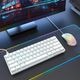 Механическая игровая клавиатура Dierya 60% с переключателями Clicky, Type-C, 61 клавиша (раскладка США, QWERTY, Brown Switch) белый - изображение 2