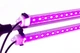 LED Лампа для растений DUO Bicolor на подоконник. Фито лампа для комнатных растений, рассады, цветов, орхидей, микрозелени. - изображение 8
