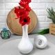 Маленькая белая фарфоровая ваза для цветов ARDESTO Imola, 15х8 cm - изображение 4