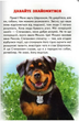 Приключения Шерлока Серия Читаю сам Белкар-книга - изображение 3