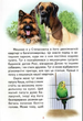 Приключения Шерлока Серия Читаю сам Белкар-книга - изображение 5