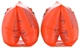 Нарукавники Speedo ARMBANDS JU 8-069201288 детские 12+ Оранжевые (5051746584632) - изображение 2
