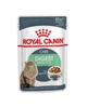 Вологий корм Royal Canin Digest Sensitive Gravy pouch для котів із чутливим травленням із домашньою птицею 3+1 до 85 г - зображення 2