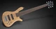 Бас-гитара WARWICK Teambuilt Pro Series Streamer LX, 6-String (Natural Transparent Satin) - изображение 2