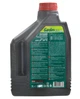 Масло для 2-х тактных двигателей MOTUL GARDEN 2T бездымное 2л, арт.смаз199 - изображение 2