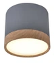 Точковий світильник Candellux 2275925 TUBA - зображення 1