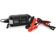 Зарядное устройство для аккумулятора BYGD F3500 6V/12V (MF,WET,AGM,GEL) - изображение 1