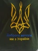 Футболка вышиванка мужская XRMASTER Добрый вечер мы из Украины на зеленом XL - изображение 4
