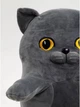 М'яка іграшка-обіймалка антистрес Британський Кіт батон 110 см My Kigu Сірий (9046) - зображення 7