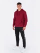 Худи Joma Montana Бордовый XL (102108.671) - изображение 6