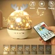 Ночник-проектор звездного неба Magic Deer, Panalisa (72935349) - изображение 1