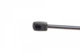 Амортизаторы капота / багажника STABILUS 1152RM Ford Focus 1093705, 1074368, XS41N406A10AD - изображение 4