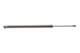 Амортизатори капота/багажника LESJOFORS 8192589 Toyota Rav-4 689600R010, 689500R010 - зображення 2