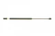 Амортизаторы капота / багажника LESJOFORS 8155422 Mazda 6 G21B62620C, G21B62620B, G21B62620D - изображение 2