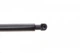Амортизатори капота/багажника LESJOFORS 8192585 Toyota Yaris 689500W640, 689500W641, 689500W660 - зображення 2