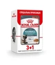 Влажный корм Royal Canin Hairball Care Gravy pouch для кошек с домашней птицей 3+1 по 85 г - изображение 1