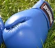 Перчатки боксерские PowerPlay 3004 12 унций Blue (PP_3004_12oz_Blue) - изображение 8