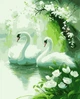 Картина за номерами Artissimo Лебеді PN0234 40х50 см - зображення 1