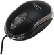 Mysz Titanum TM102K USB Black (5905784768854) - obraz 1