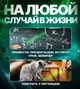 Мощная лазерная указка Green Laser YL-303 до 2000 м, Зеленая / Аккумуляторный лазер зеленый - изображение 3