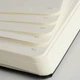 Блокнот Leuchtturm1917 М'яка обкладинка Paperback B6 12,5х19 см Червоний в лінію (358296) - зображення 2