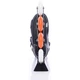 Роликовые коньки Tempish Coctail Mate 34-37 (10000046032/Mate/34-37) - изображение 2