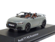 Модель автомобіля Audi TT RS (8S) Roadster Nardogrey, Scale 1:43 - зображення 1