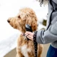 Грелка для рук Zippo Hand Warmer 12 Hour багаторазова бензинова каталітична Чорна - зображення 4