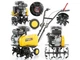 Мотокультиватор HIGHER HP-32525 - изображение 2