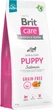 Корм для щенков Brit Care Dog Grain-free Puppy беззерновой с лососем 12 кг (8595602558803) - изображение 1