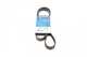 Ремінь приводний DAYCO 6PK1388 Citroen Berlingo, Jumpy, Xsara; Suzuki SX4; Peugeot 306, Експерт, Партнер, 206; Chrysler Voyager; Chevrolet Aveo; Fiat Grande Punto, Scudo 11287520199, 95141T79JA0, 5750X6 - зображення 1