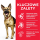 Sucha karma dla starszych psów dużych ras Hill's Science Plan z kurczakiem 18 kg (0052742183008) - obraz 3