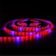 Светодиодная фитолента IP65 60SMD 5050 12V Lemanso LM870 (4 красн, 1 синий) - изображение 1