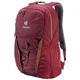 Рюкзак Deuter Gogo 25 л 3820016 5322 - зображення 3
