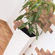 Вазон Prosperplast Rato Square 26,6 л білий - изображение 5