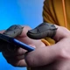 Игровые напальчники от пота для игры на телефоне Flydigi P1 Lite для сенсорного экрана телефона 1 пара + металлический бокс PUBG Mobile Call Of Duty 2 StandOFF - изображение 3