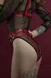 Гартеры Feral Feelings - Belt Briefs, трусики, натуральная кожа, цвет красный - изображение 2