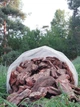 Кора соснова велика, кора для декору велика, фракція 5-9 см 50 л - зображення 1