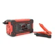 Импульсное ЗУ для аккумуляторов RJTianye, 6V/12V,100-240V, 2A,LCD, клеммы(AGM/GEL,Lead) - изображение 1
