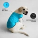 Курточка-накидка для собак Airy Vest, L, B 58-70 см, С 42-52 см, Голубая (15442Collar) - изображение 4