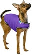 Курточка-накидка для собак Airy Vest, XXS, B 29-36 см, С 14-20 см, Фиолетовая (15409Collar) - изображение 1
