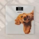 Весы напольные Zelmer ZBS1010 Crazy dog - изображение 8