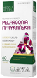 Харчова добавка Medica Herbs African Pelargonium 60 капсул (5903968202484) - зображення 1