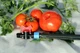 Стартовый кран с наружной резьбой 1/2" для капельной ленты Presto-PS - изображение 2